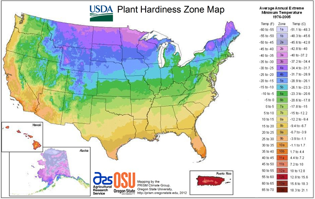desert climate zone for trees